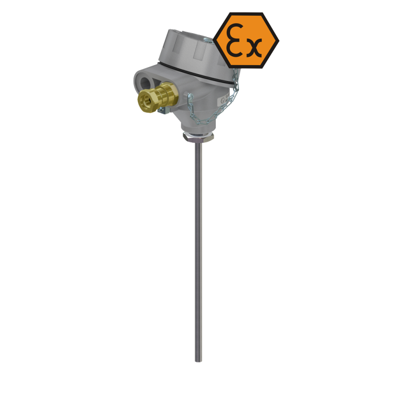 Hardwired, Explosion-proof RTD Temperature Transmitter